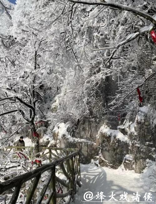 赏雪张家界